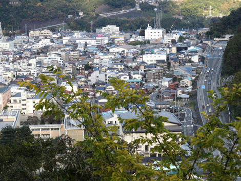 20161104hike (309)